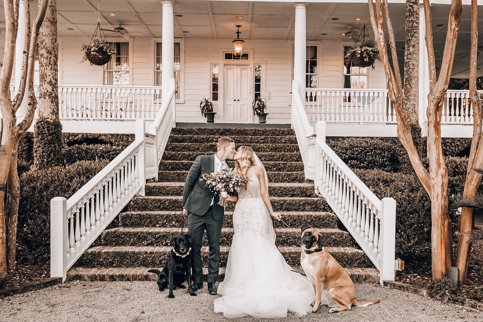 Wedding & Special Event Services